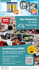 Stauden im REWE Prospekt in Bottrop Aktueller REWE Prospekt mit Stauden, "Dein Markt", Seite 36