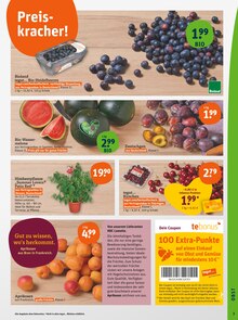 Blumen Angebot im tegut Prospekt, gültig von 14.07.2025 bis 19.07.2025 Blumen Angebot im aktuellen tegut Prospekt auf Seite 5