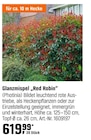 Glanzmispel „Red Robin“ Angebote bei OBI Aachen für 619,99 €
