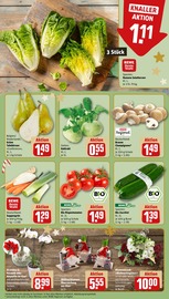 Ähnliche Angebote wie Blumenzwiebeln im Prospekt "Dein Markt" auf Seite 9 von REWE in Filderstadt