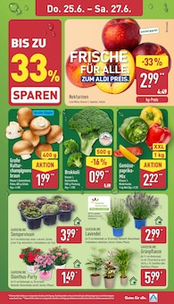 ALDI Nord Prospekt der aktuellen Woche, gĂĽltig von 22.06.2026 bis 27.06.2026 Aktueller ALDI Nord Prospekt "Aktuelle Angebote" mit 41 Seiten