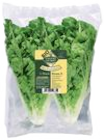 Bio Salatherzen Mini Romana von Unsere Heimat für 1,49 € bei EDEKA im Angebot Bio Salatherzen Mini Romana von Unsere Heimat im aktuellen EDEKA Prospekt