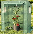 Tomatengewächshaus im aktuellen Thomas Philipps Prospekt