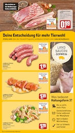 REWE Bratwurst im Prospekt 