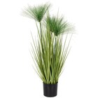 KUNSTPFLANZE 76 cm von Ambia Home für 15,99 € bei XXXLutz im Angebot KUNSTPFLANZE 76 cm von Ambia Home im aktuellen XXXLutz Prospekt
