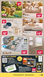 Hundekissen Angebot im aktuellen Netto mit dem Scottie Prospekt auf Seite 27