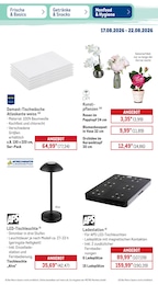 METRO Orchidee im Prospekt METRO Orchidee im Prospekt