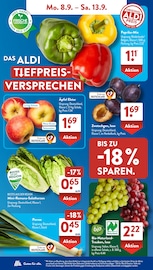 Äpfel im ALDI SÜD Prospekt in Völklingen Aktueller ALDI SÜD Prospekt mit Äpfel, "Gutes für Alle.", Seite 4