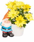 Chrysanthemen  im aktuellen Netto Marken-Discount Prospekt für 4,99 €