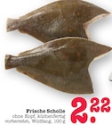 Aktuelles Frische Scholle Angebot bei E center in Mannheim ab 2,22 €