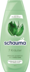Shampoo 7 Kräuter von Schauma im aktuellen budni Prospekt