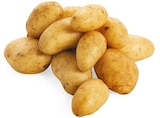 Aktuelle Kartoffeln Angebote bei nahkauf in Dresden Aktuelles Speisekartoffeln Angebot bei nahkauf in Dresden ab 1,99 €