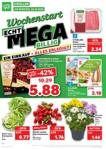 Kaufland Prospekt für Osnabrück mit 48 Seiten Kaufland Prospekt für Osnabrück: "ECHT MEGA BILLIG", 48 Seiten, 26.10.2020 - 28.10.2020