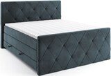 ROLLER - Boxspringbett Angebot im Prospekt Boxspringbett bei ROLLER im Prospekt "Exklusiv bei ROLLER" für 899,99 €