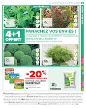 Photinia Angebote im Prospekt "PROFITER ENFIN DE SON JARDIN" von Carrefour auf Seite 11