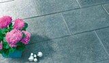 Aktuelle Terrassenplatten Angebote bei BayWa Bau- und Gartenmärkte in Nürnberg Aktuelles Terrassenplatte „No. 1 Gallant“ Angebot bei BayWa Bau- und Gartenmärkte in Nürnberg ab 11,99 €