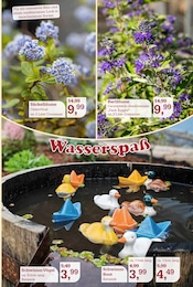 Gartendeko im Garten-Center Nordharz GmbH & Co. KG Prospekt in Hildesheim Aktueller Garten-Center Nordharz GmbH & Co. KG Prospekt mit Gartendeko, "Zeit zum Verweilen", Seite 5
