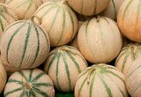 Melon en promo chez Norma Melon dans le catalogue Norma