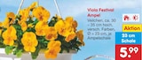Viola Festival Ampel Angebote bei Netto Marken-Discount Lünen für 5,99 €