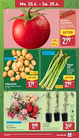 Aktueller ALDI Nord Prospekt mit Kartoffeln, "Aktuelle Angebote", Seite 3