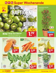 Chrysantheme im Netto Marken-Discount Prospekt "Aktuelle Angebote" mit 51 Seiten (Leipzig)