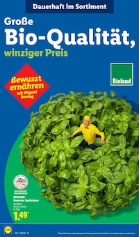 Pflanzen im Lidl Prospekt "LIDL LOHNT SICH" mit 62 Seiten (Braunschweig)