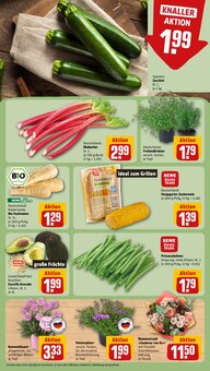 Blumen im REWE Prospekt "Dein Markt" mit 18 Seiten (Hamburg)