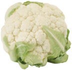 Blumenkohl im Angebot bei EDEKA in Rostock Blumenkohl Angebote bei EDEKA Rostock für 1,00 €