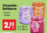 Aktuelles Citronella-Duftkerze Angebot bei Thomas Philipps in Kassel ab 2,22 €