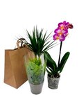 Tasche Angebote bei E center Rostock für 12,99 €