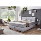 Aktuelles Boxspringbett Graz Angebot bei POCO in Hildesheim ab 999,99 €