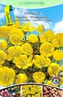 Frühlingsboten Eranthis oder Fritillaria im Angebot bei Thomas Philipps in Göttingen Frühlingsboten Eranthis oder Fritillaria Angebote bei Thomas Philipps Göttingen für 1,59 €