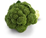 Broccoli im Angebot bei Netto Marken-Discount in Erlangen Broccoli Angebote von HEIMAT bei Netto Marken-Discount Erlangen für 0,99 €