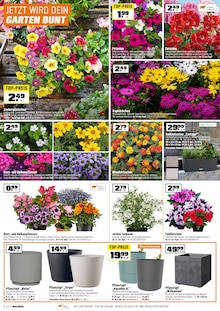 Blumen im OBI Prospekt "BIBERSTARKE ANGEBOTE" mit 12 Seiten (Erlangen)