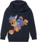 Promo Sweat à capuche enfant à 4,19 € dans le catalogue Lidl à Bénéjacq