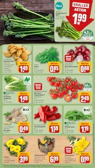 Kartoffeln im REWE Prospekt "Dein Markt" mit 18 Seiten (Kiel)