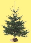 Sapin Nordmann coupé en promo chez Super U Neuilly-sur-Marne à 34,99 €