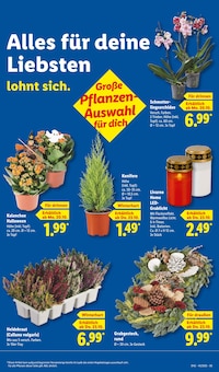 Kerzen im aktuellen Lidl Prospekt (Wolfsburg) Kerzen im Lidl Prospekt "LIDL LOHNT SICH" mit 69 Seiten (Wolfsburg)