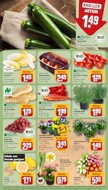 Tomaten im REWE Prospekt in Tübingen Aktueller REWE Prospekt mit Tomaten, "Dein Markt", Seite 9