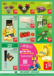 Bananen im Marktkauf Prospekt in Schwabach Aktueller Marktkauf Prospekt mit Bananen, "AUSWAHL RIESIG, PREISE NIEDRIG", Seite 9