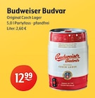 Original Czech Lager Angebote von Budweiser Budvar bei Getränke Hoffmann Cottbus für 12,99 €