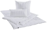 Ganzjahresbett „Inspiration“ im Angebot bei XXXLutz Möbelhäuser in Oberhausen Ganzjahresbett „Inspiration“ Angebote von Centa-Star bei XXXLutz Möbelhäuser Oberhausen für 59,99 €