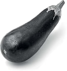 Aktuelles Auberginen Angebot bei Netto Marken-Discount in Oldenburg ab 1,00 €