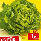 Netto Marken-Discount - Kopfsalat Angebot im Prospekt Kopfsalat bei Netto Marken-Discount im Prospekt "" für 1,00 €
