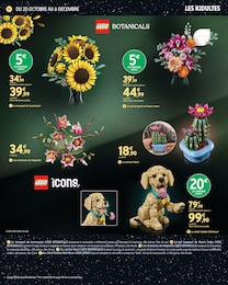 Offre Fleurs dans le catalogue Intermarché Hyper du moment à la page 92