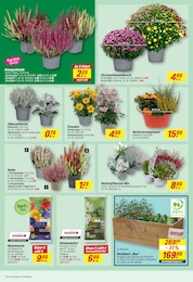 Blumenerde Angebot & Preis im aktuellen toom Baumarkt Prospekt Blumenerde Angebot im aktuellen toom Baumarkt Prospekt auf Seite 10