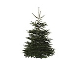 Sapin de Noël Nordmann 180-210 cm + bûche en promo chez Brico Dépôt Mâcon à 24,90 €