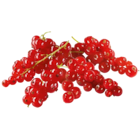Netto Marken-Discount - Johannisbeeren rot Angebot im Prospekt Johannisbeeren rot bei Netto Marken-Discount im Prospekt "" für 3,49 €