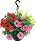 Promo Plante fleurie de saison à 8,99 € dans le catalogue Cora à La Ville-és-Nonais