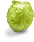 Eisbergsalat im Angebot bei Netto Marken-Discount in Bottrop Eisbergsalat Angebote bei Netto Marken-Discount Bottrop für 0,88 €